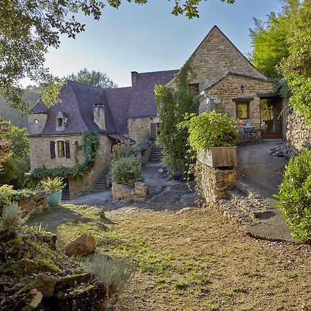 Domaine De Cantegrel - Gites De Charme Et Suite Troglodyte En Perigord Vitrac  Εξωτερικό φωτογραφία
