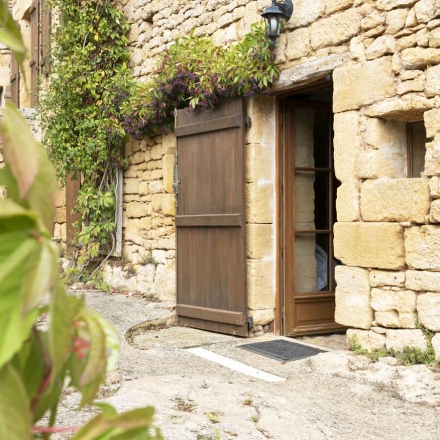 Domaine De Cantegrel - Gites De Charme Et Suite Troglodyte En Perigord Vitrac  Εξωτερικό φωτογραφία