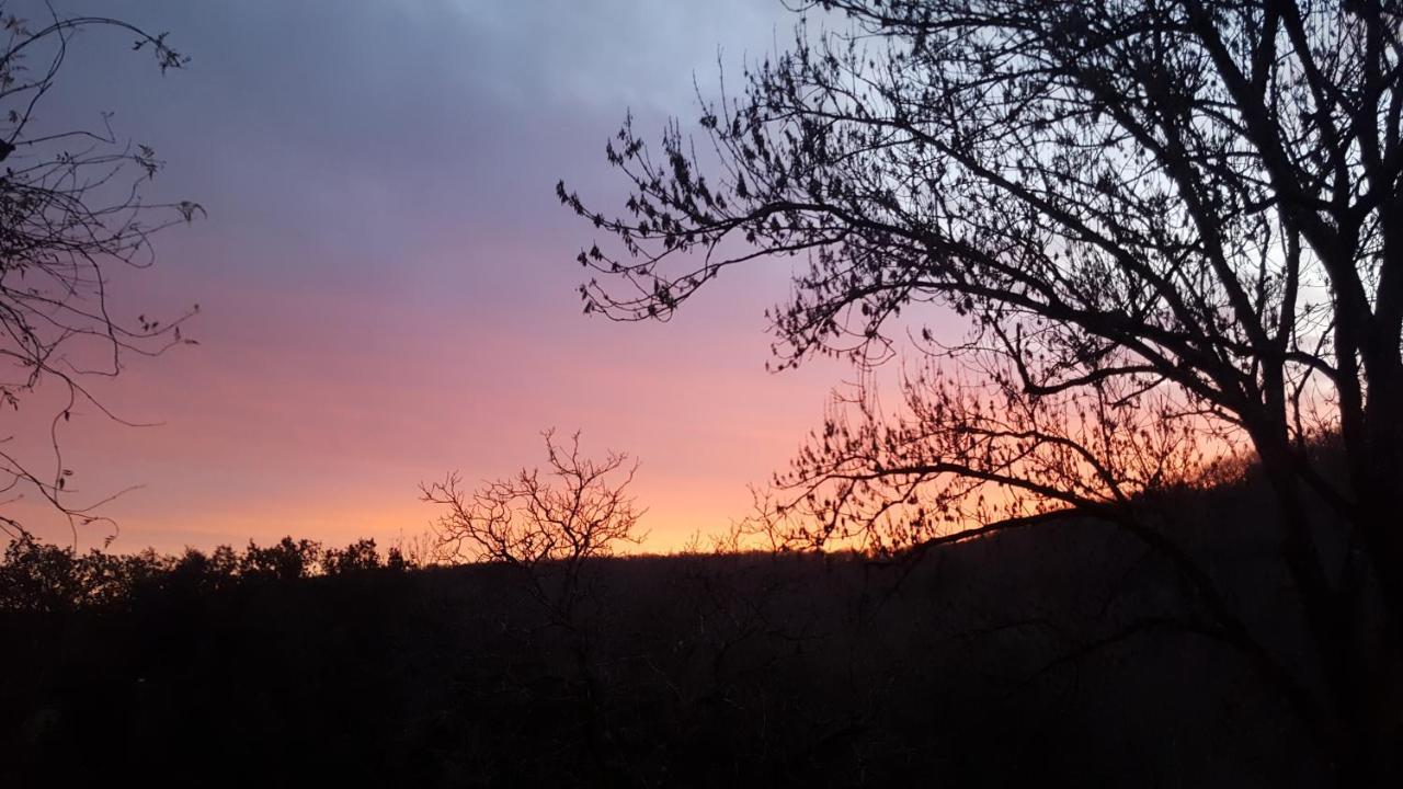 Domaine De Cantegrel - Gites De Charme Et Suite Troglodyte En Perigord Vitrac  Εξωτερικό φωτογραφία