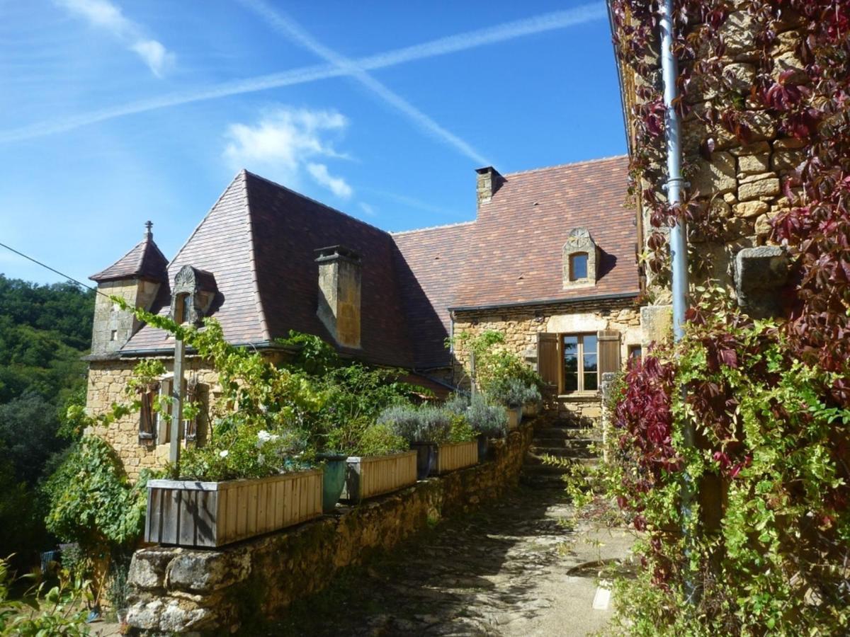 Domaine De Cantegrel - Gites De Charme Et Suite Troglodyte En Perigord Vitrac  Εξωτερικό φωτογραφία
