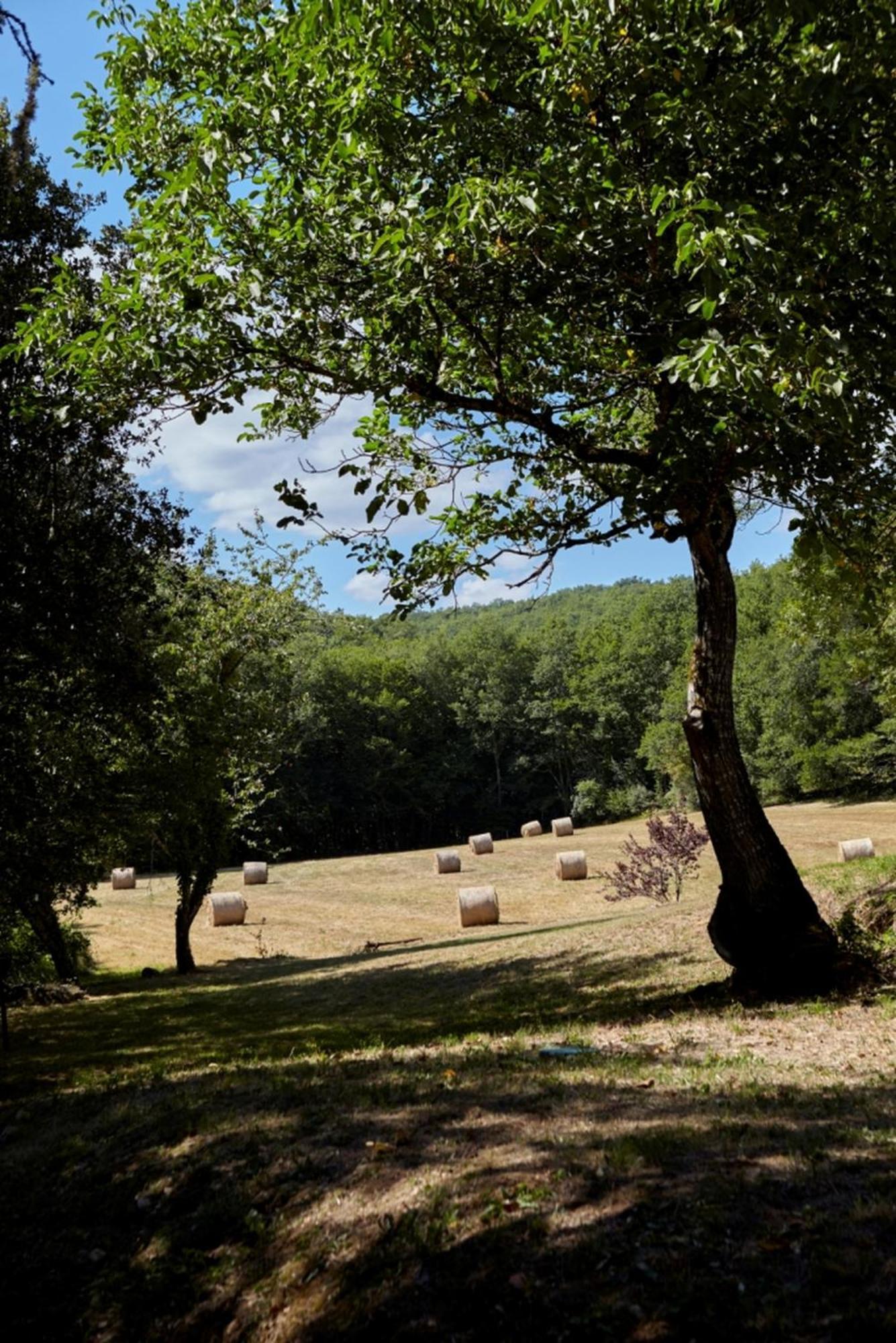 Domaine De Cantegrel - Gites De Charme Et Suite Troglodyte En Perigord Vitrac  Εξωτερικό φωτογραφία