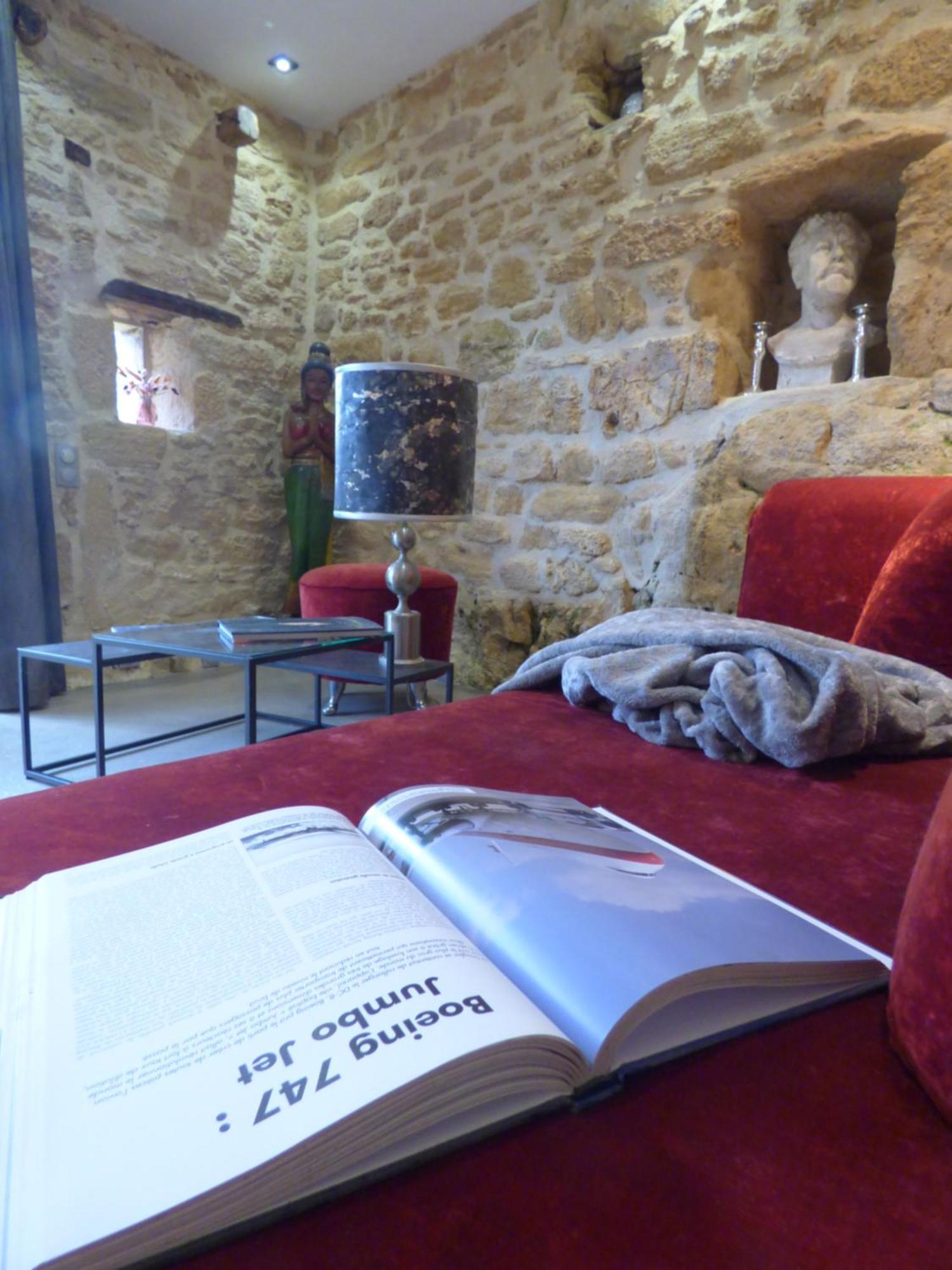 Domaine De Cantegrel - Gites De Charme Et Suite Troglodyte En Perigord Vitrac  Εξωτερικό φωτογραφία